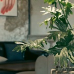 Güneş Almayan Salonlara Can Katın: Yapay Bitkilerle Anında Yeşil ve Şık Bir Atmosfer